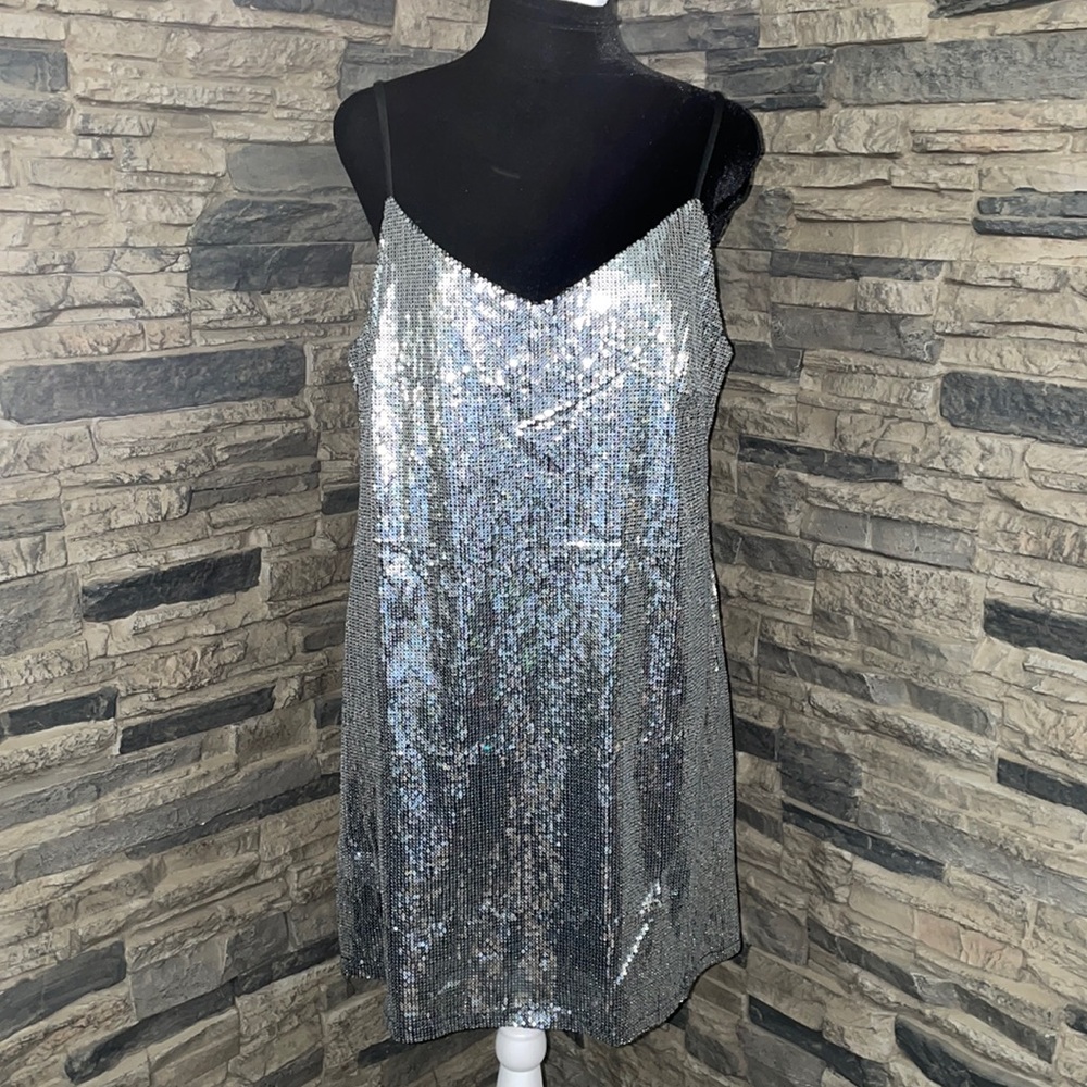 Wild Fable Sequin Dress